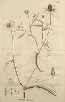  no thumbnail available