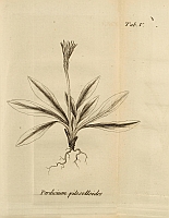  no thumbnail available