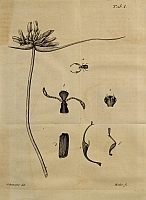  no thumbnail available