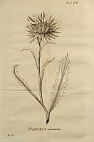  no thumbnail available