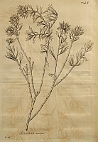  no thumbnail available