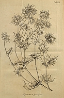  no thumbnail available