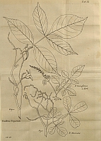  no thumbnail available