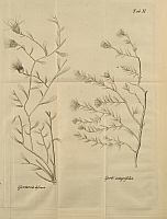  no thumbnail available