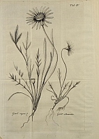  no thumbnail available