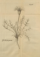  no thumbnail available