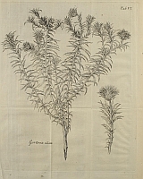  no thumbnail available