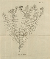  no thumbnail available