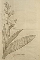  no thumbnail available