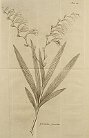  no thumbnail available