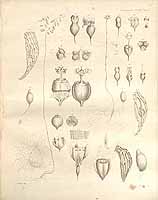  no thumbnail available