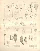  no thumbnail available