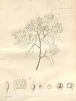  no thumbnail available