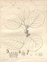  no thumbnail available