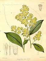  no thumbnail available