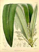  no thumbnail available