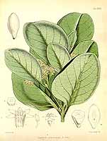  no thumbnail available