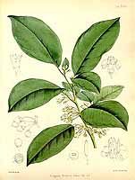  no thumbnail available