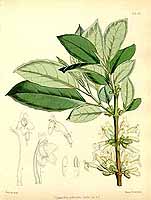  no thumbnail available