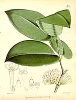  no thumbnail available