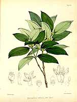  no thumbnail available