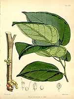  no thumbnail available