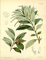  no thumbnail available