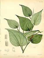  no thumbnail available