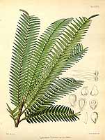  no thumbnail available