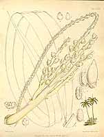  no thumbnail available