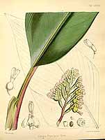  no thumbnail available