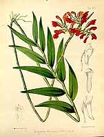  no thumbnail available