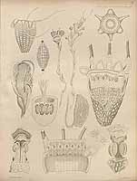  no thumbnail available