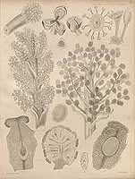  no thumbnail available