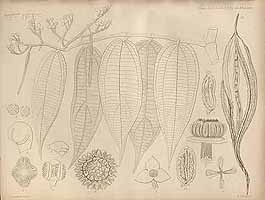  no thumbnail available