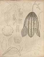  no thumbnail available