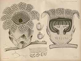  no thumbnail available