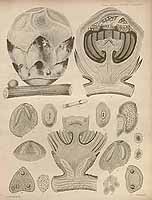  no thumbnail available