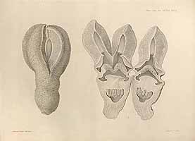  no thumbnail available