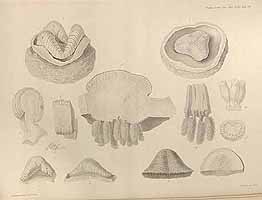  no thumbnail available