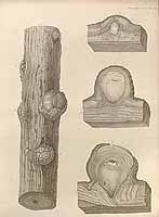  no thumbnail available