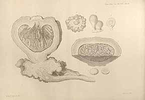  no thumbnail available