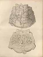  no thumbnail available