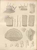  no thumbnail available