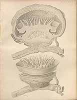  no thumbnail available