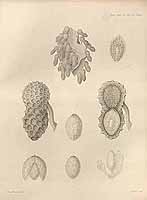  no thumbnail available