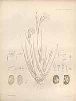  no thumbnail available