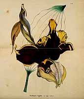  no thumbnail available