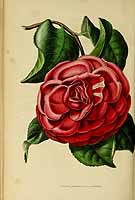  no thumbnail available