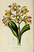  no thumbnail available